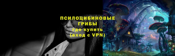 первитин Богородск